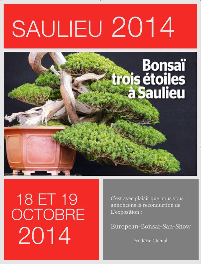  - european_bonsai_san_show_2014_Saulieu